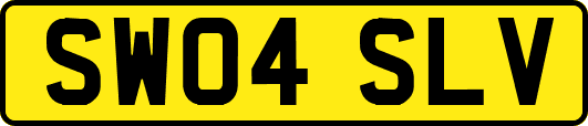 SW04SLV