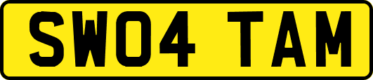 SW04TAM