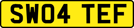 SW04TEF