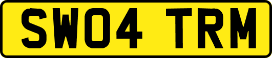 SW04TRM