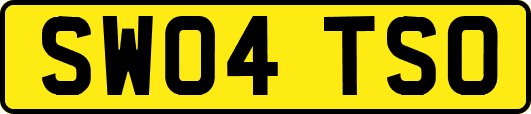 SW04TSO