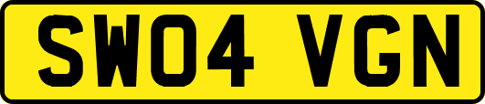 SW04VGN