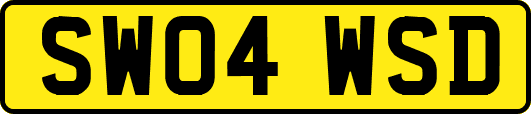SW04WSD