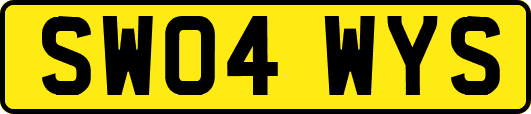 SW04WYS