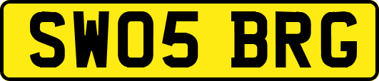SW05BRG