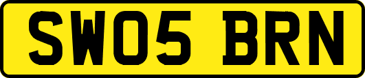 SW05BRN