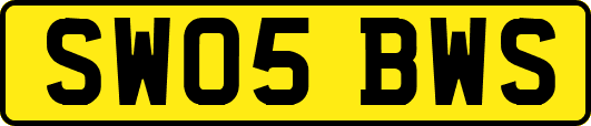 SW05BWS