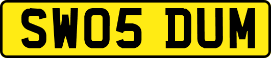 SW05DUM