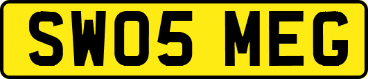 SW05MEG