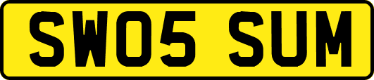 SW05SUM