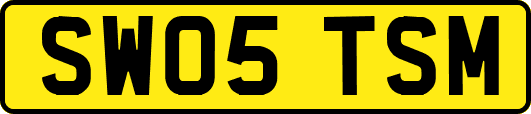 SW05TSM