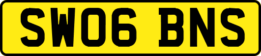 SW06BNS