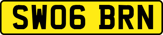 SW06BRN