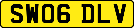 SW06DLV