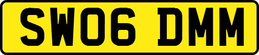 SW06DMM