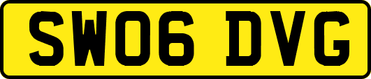 SW06DVG
