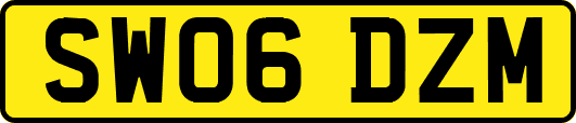 SW06DZM