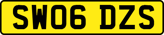 SW06DZS