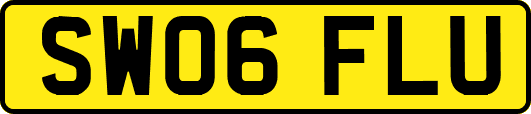 SW06FLU