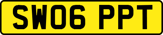 SW06PPT