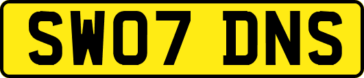 SW07DNS