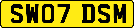 SW07DSM