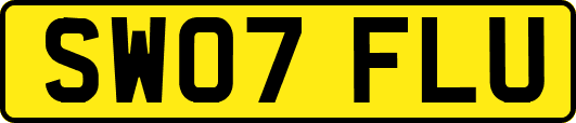 SW07FLU