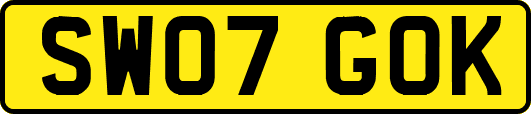 SW07GOK