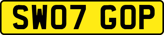 SW07GOP