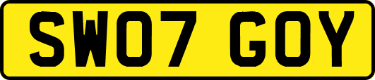SW07GOY