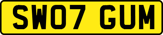 SW07GUM