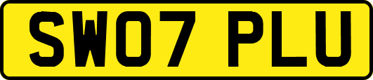 SW07PLU