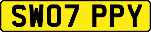 SW07PPY