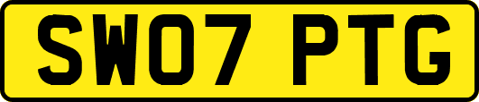 SW07PTG