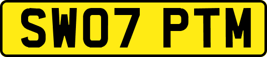 SW07PTM