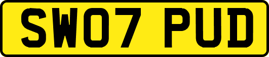 SW07PUD