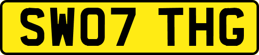 SW07THG