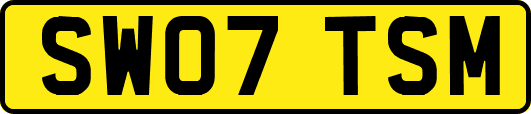 SW07TSM