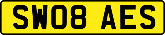 SW08AES