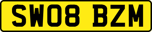 SW08BZM