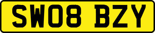 SW08BZY