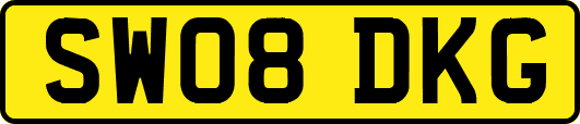 SW08DKG