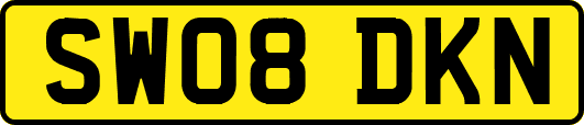 SW08DKN