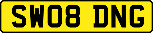 SW08DNG