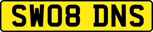 SW08DNS