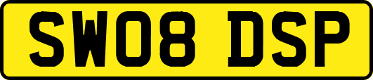 SW08DSP