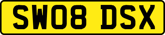 SW08DSX