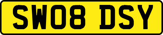 SW08DSY