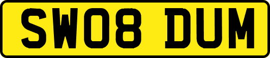 SW08DUM