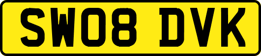 SW08DVK